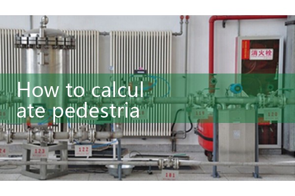 Calculation method for pedestrian flow